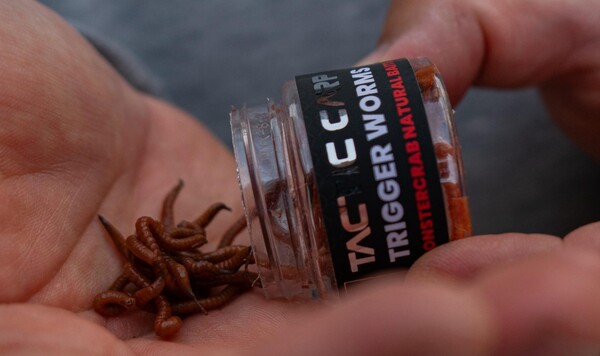 Vers artificiels aromatisés Tactic Carp (30ml)