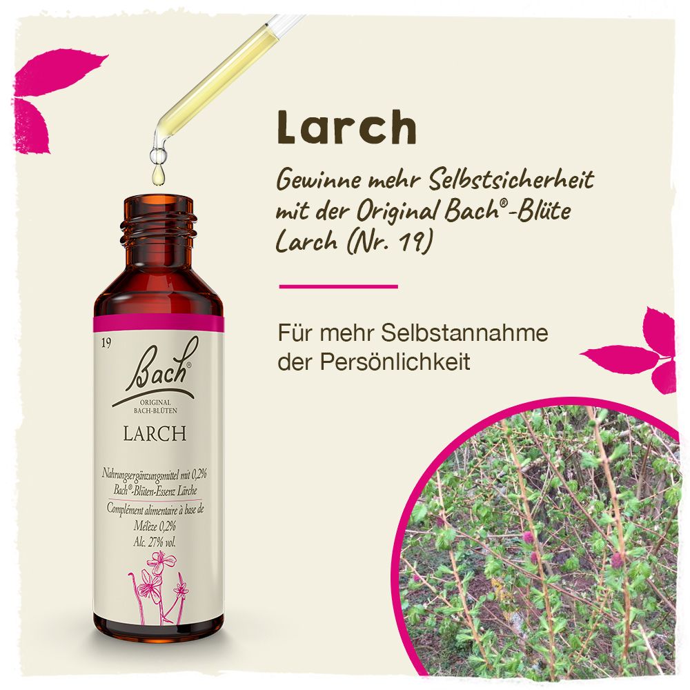 BACH®-BLÜTEN Angsthelfer Set