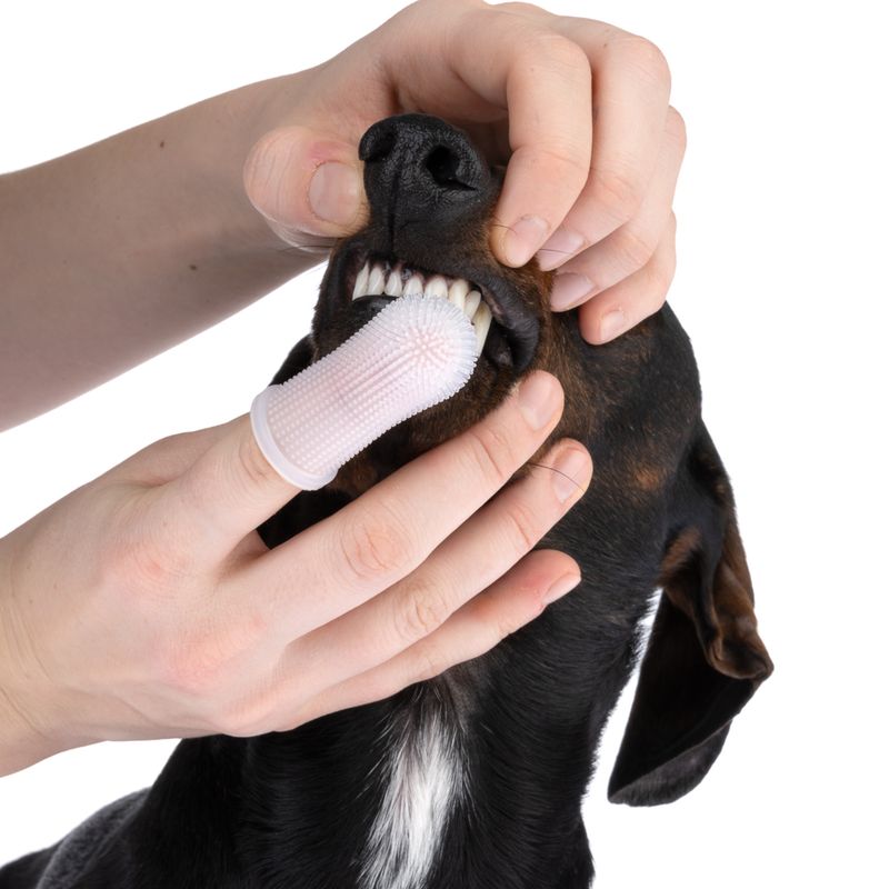 kooa Doigtier pour les dents en silicone