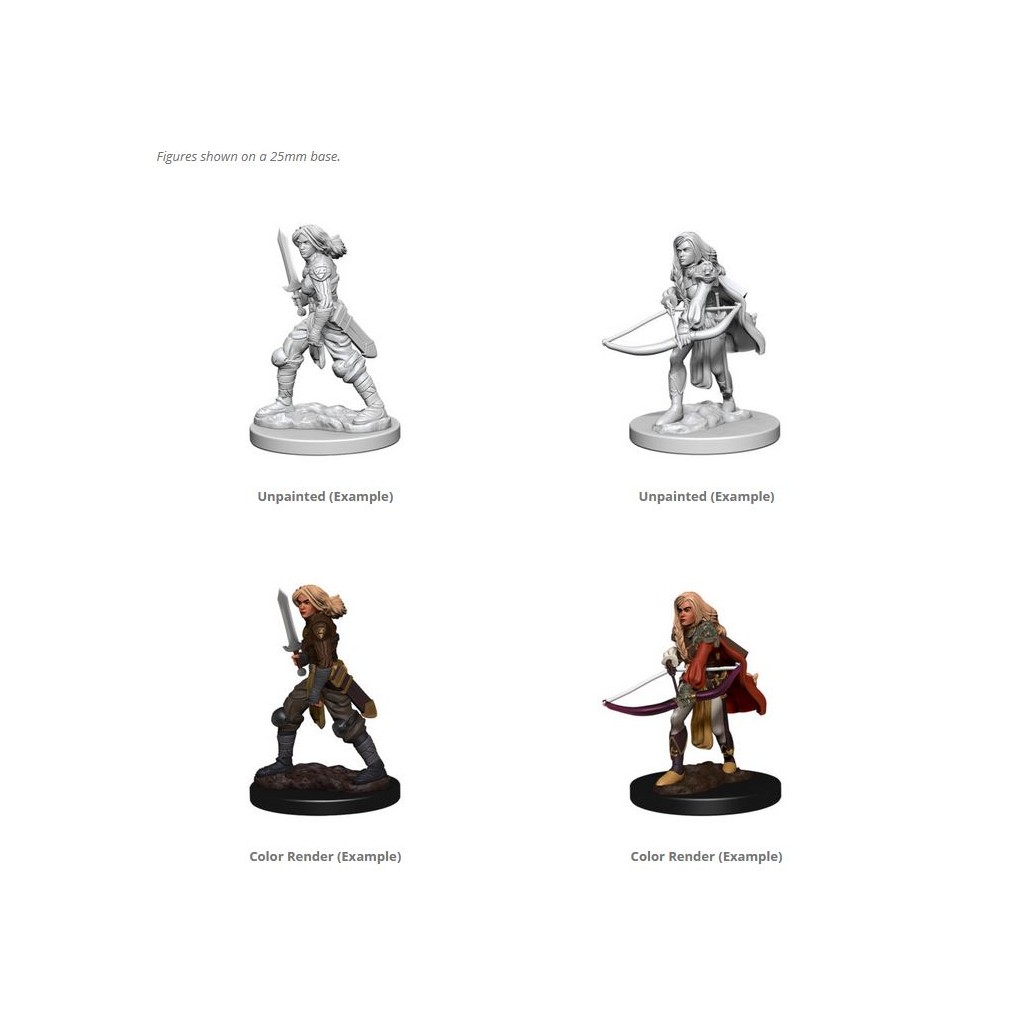 Pathfinder Deepcuts Unpainted Miniatures: Human Female Fighter