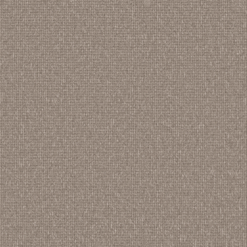 Kleurstaal tapijt oklahoma beige 190726