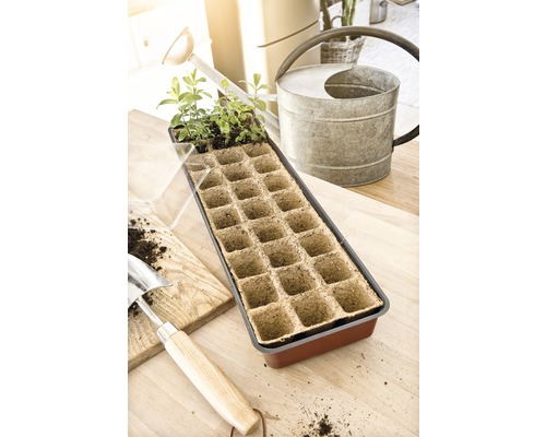 FloraSelf binnenkas, vensterbankkas 55x17x11 cm, inclusief 30 zaailingpotjes en koepel
