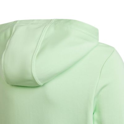 Adidas SportswearBig Logo Essentials Cotton Hoody - grün