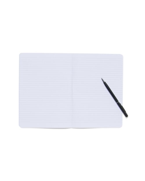 2 recharges feuilles lignées A5 pour carnet