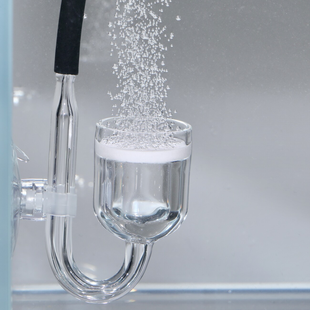JBL Proflora Co2 Taifun Glass Midi