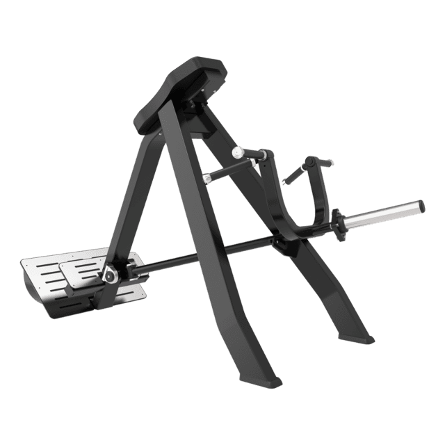 Toorx FWX-6950 Standing T-Bar