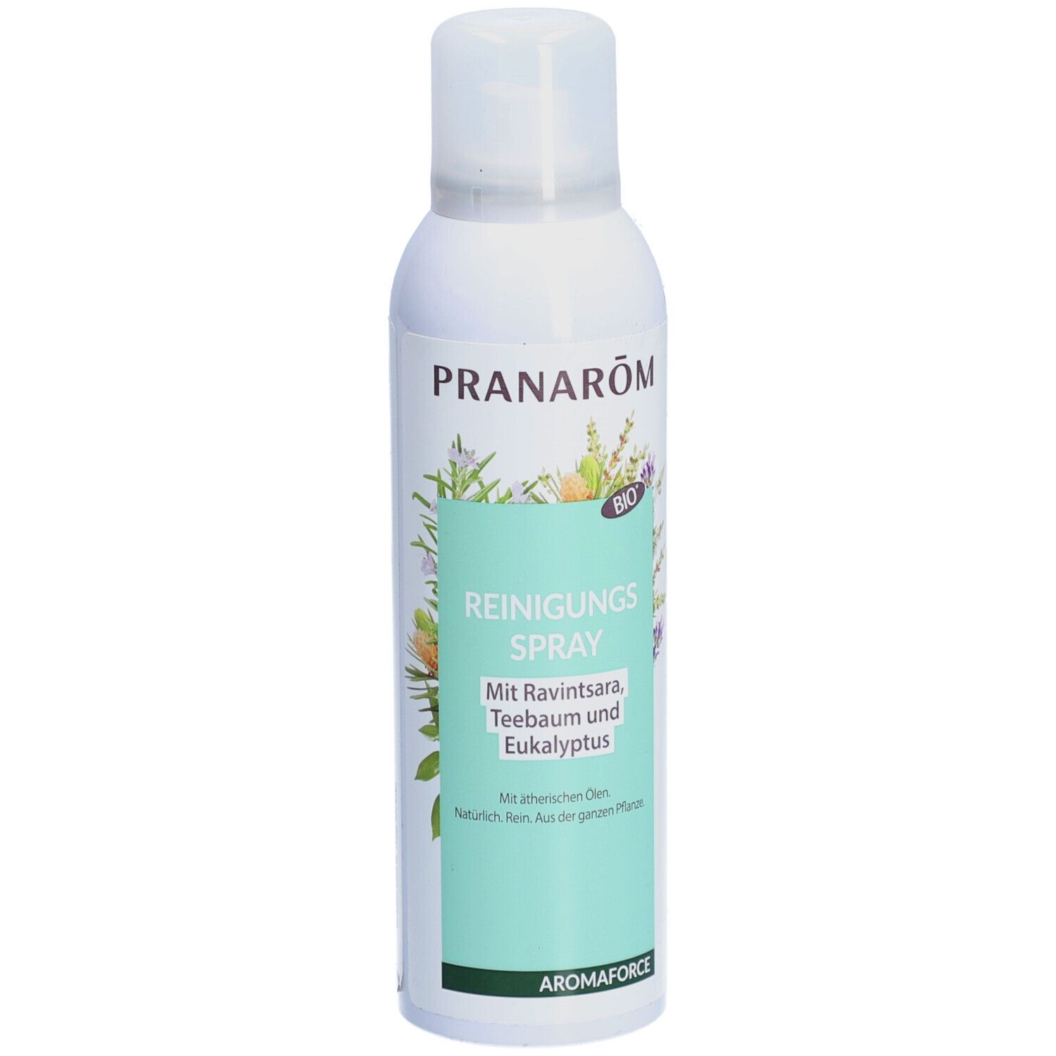 PRANAROM Reiniungsspray mit Ravintsara Teebaum und Eukalyptus Bio