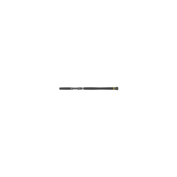 Canne leurre Black Cat Freestyle Pro pour silure 220cm (80-150g)