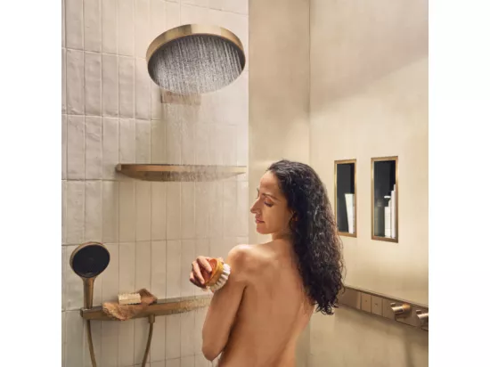 Douche de tête HANSGROHE Pulsify S 260 EcoSmart Bronze brossé