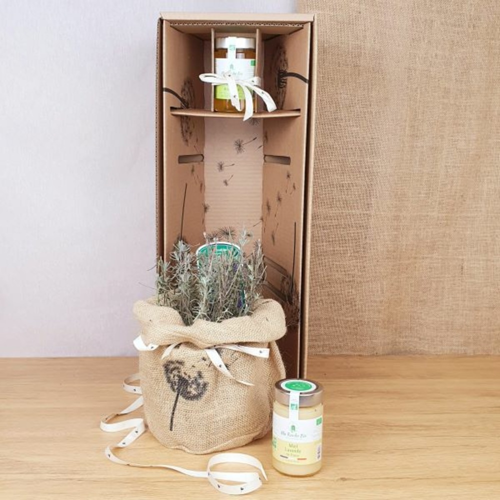 Coffret d'une plante de lavande, symbole de douceur et zénitude, avec son miel de lavande bio