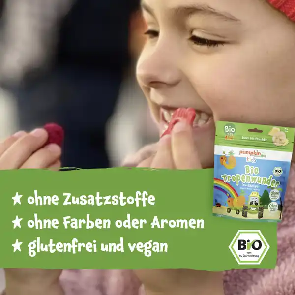 Bio Tropenwunder Fruchtchips