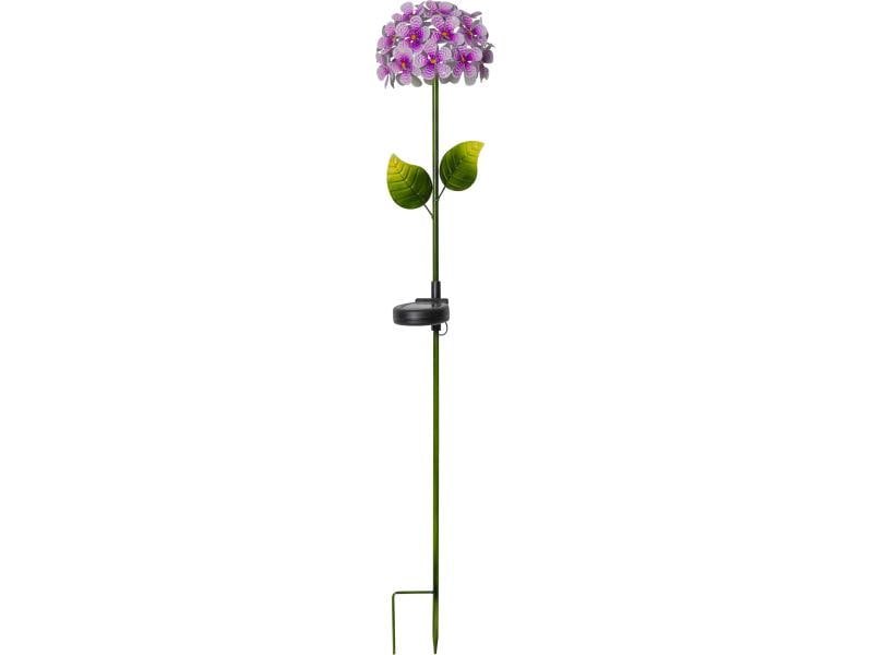 Star Trading Gartenlicht Solar Hortensia, Pink Hortensienblüte Dekoleuchte