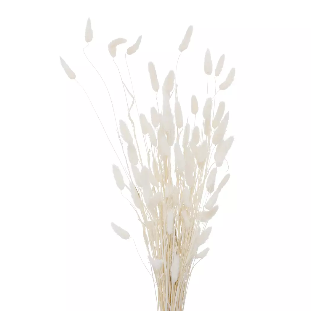 Deko-Zweig Samtgras 70 cm