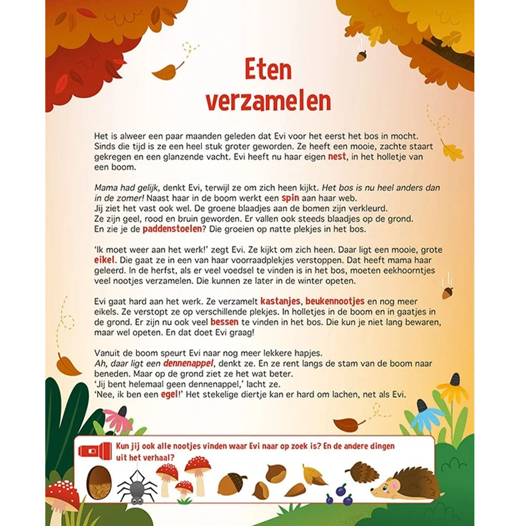 Lantaarn publishers zoek- en leesboek speuren in het bos