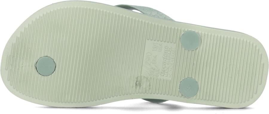Ipanema Temas Boys Kids Jongens Slippers Green