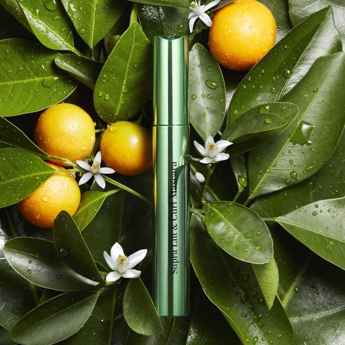 CLARINS Supra Lift &  Curl Mascara Effet Liftant Courbe &  Volume Déployés