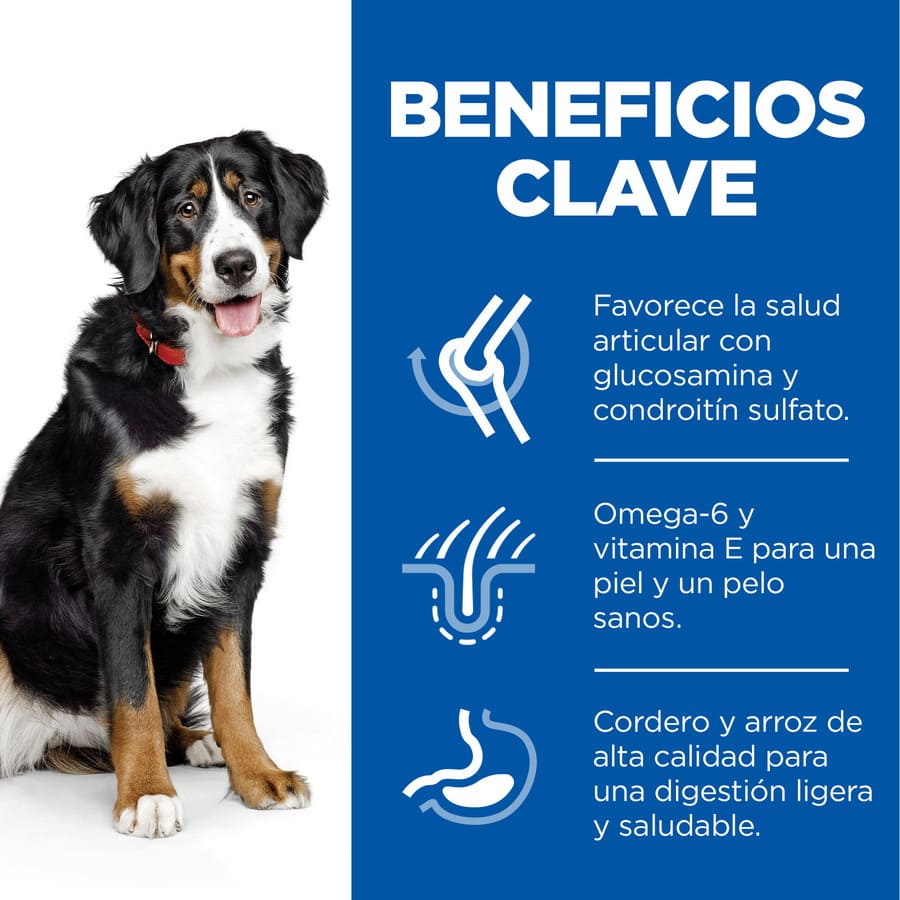Ração Hill's Science Plan para Cães Adultos de Porte Grande com Cordeiro