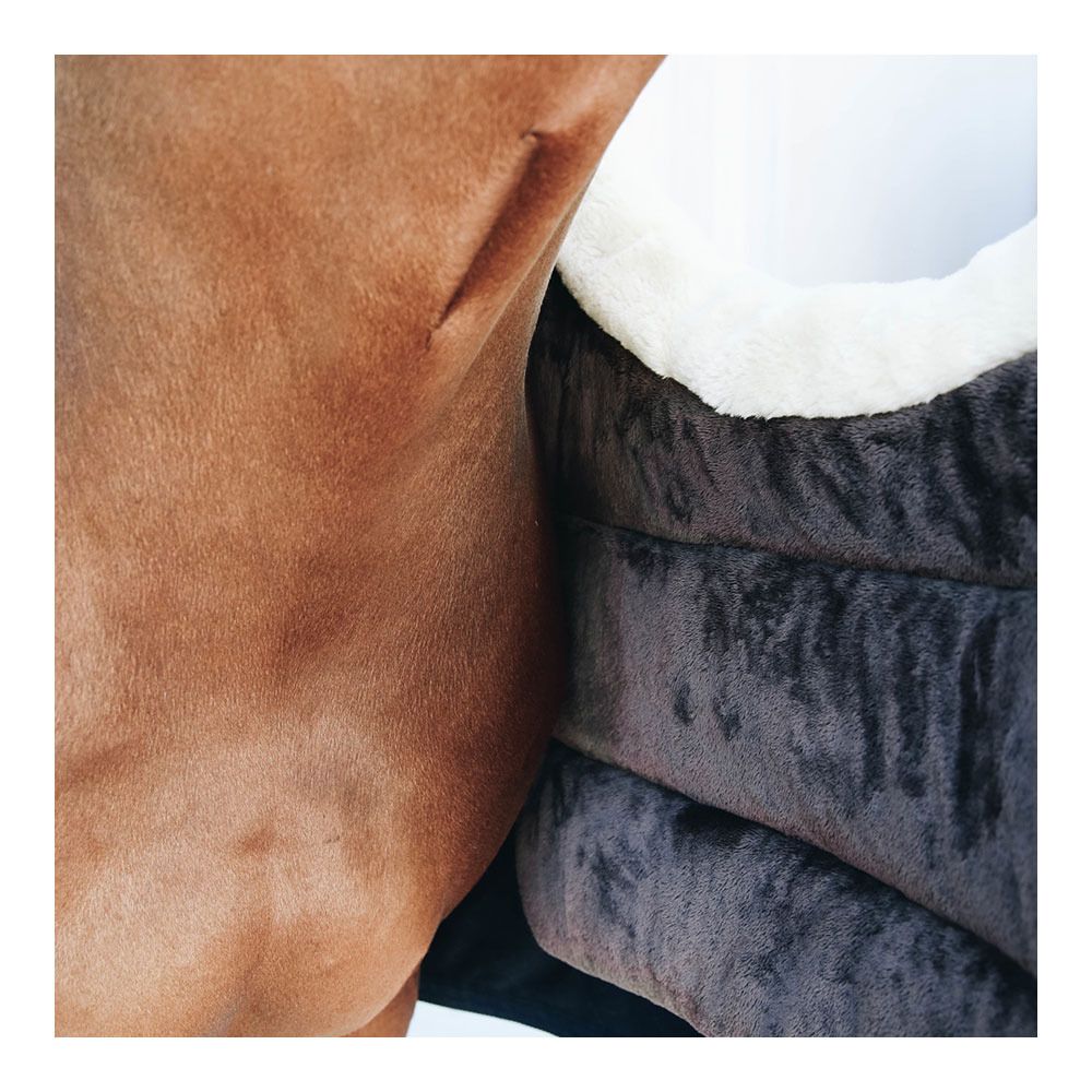 Kentucky BIB WINTER - Protection de poitrail black