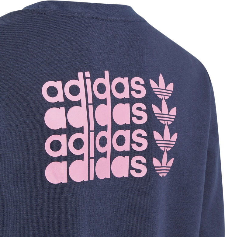 adidas Graphic Crew sweatshirt Blå