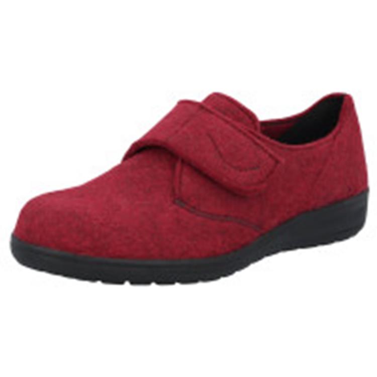 Solidus 29076 rewooly barolo