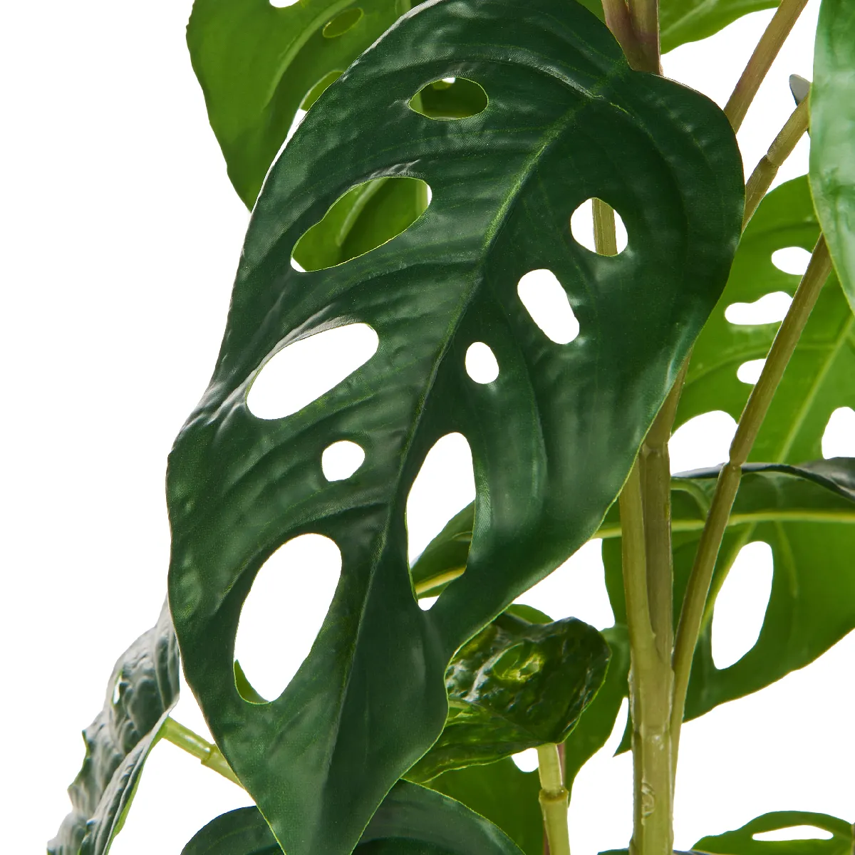 BELIANI MONSTERA ADANSONII 53 cm - Vert