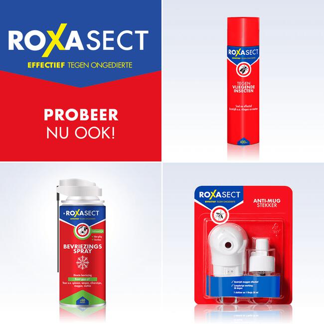 Roxasect Fruitvliegjes Vanger 1 stuk