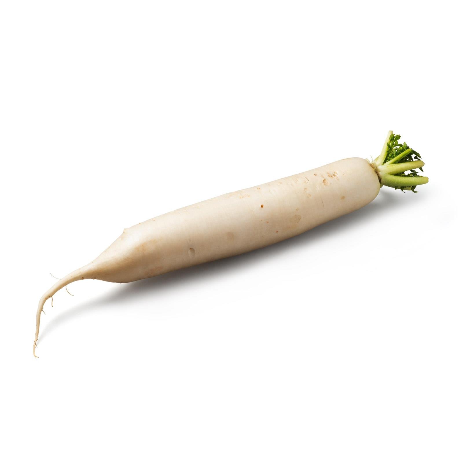 Bierrettich