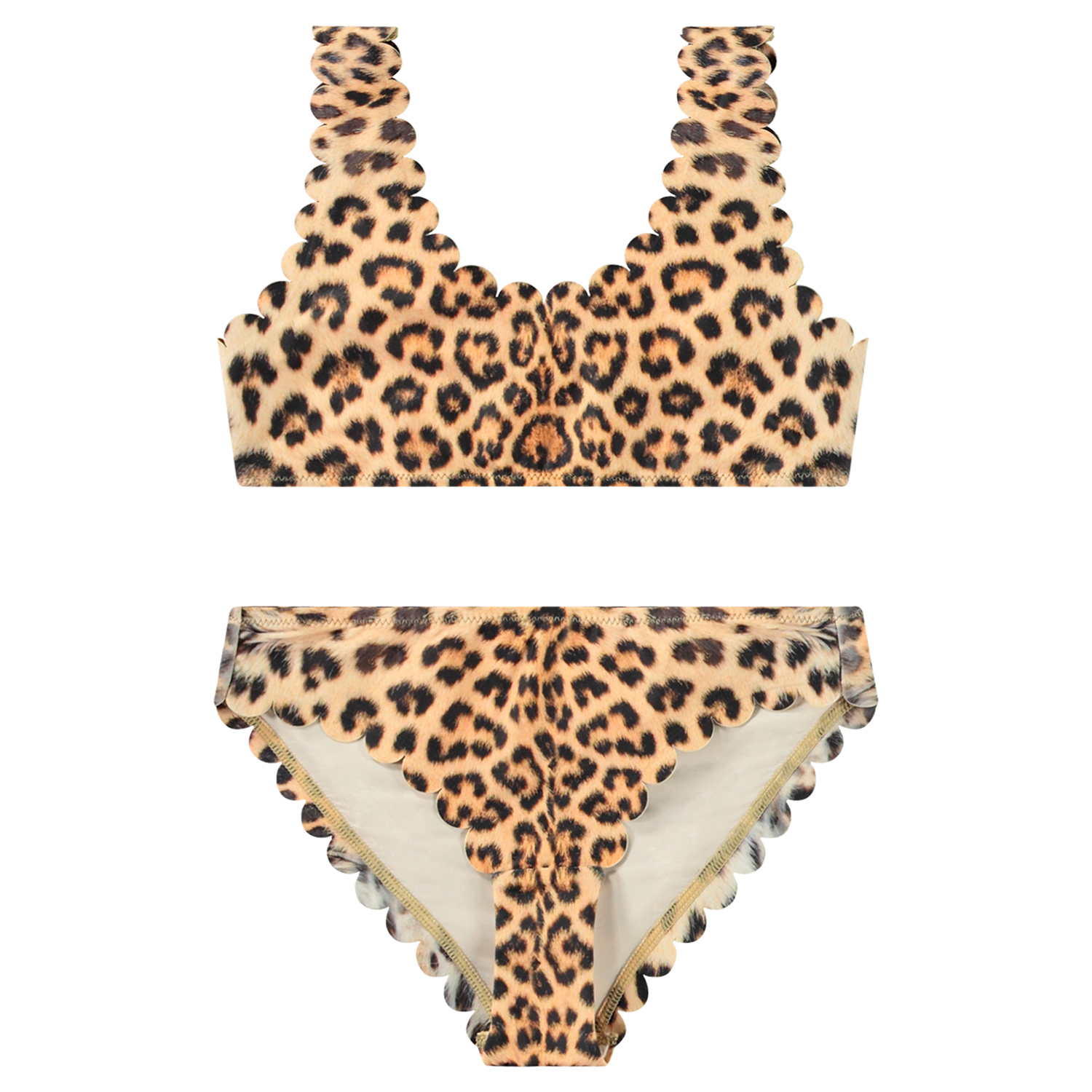 Nolina - Leo Swim