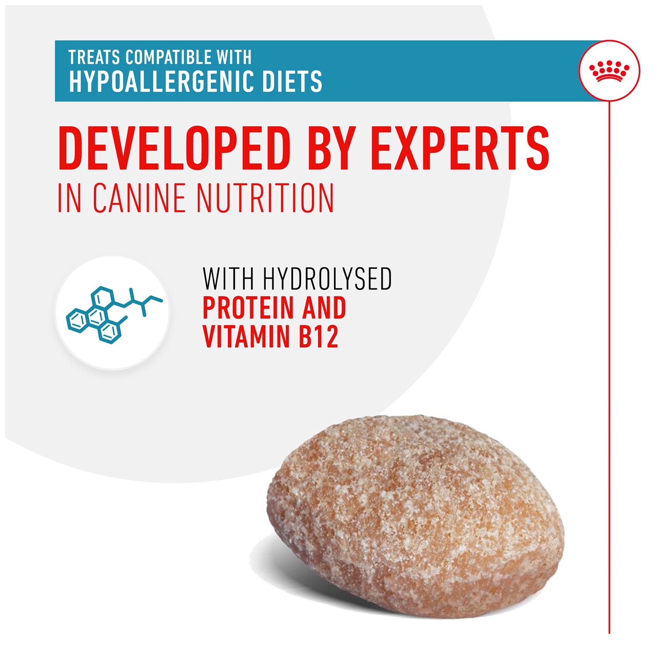 ROYAL CANIN Snacks Adult, Hypoallergenic