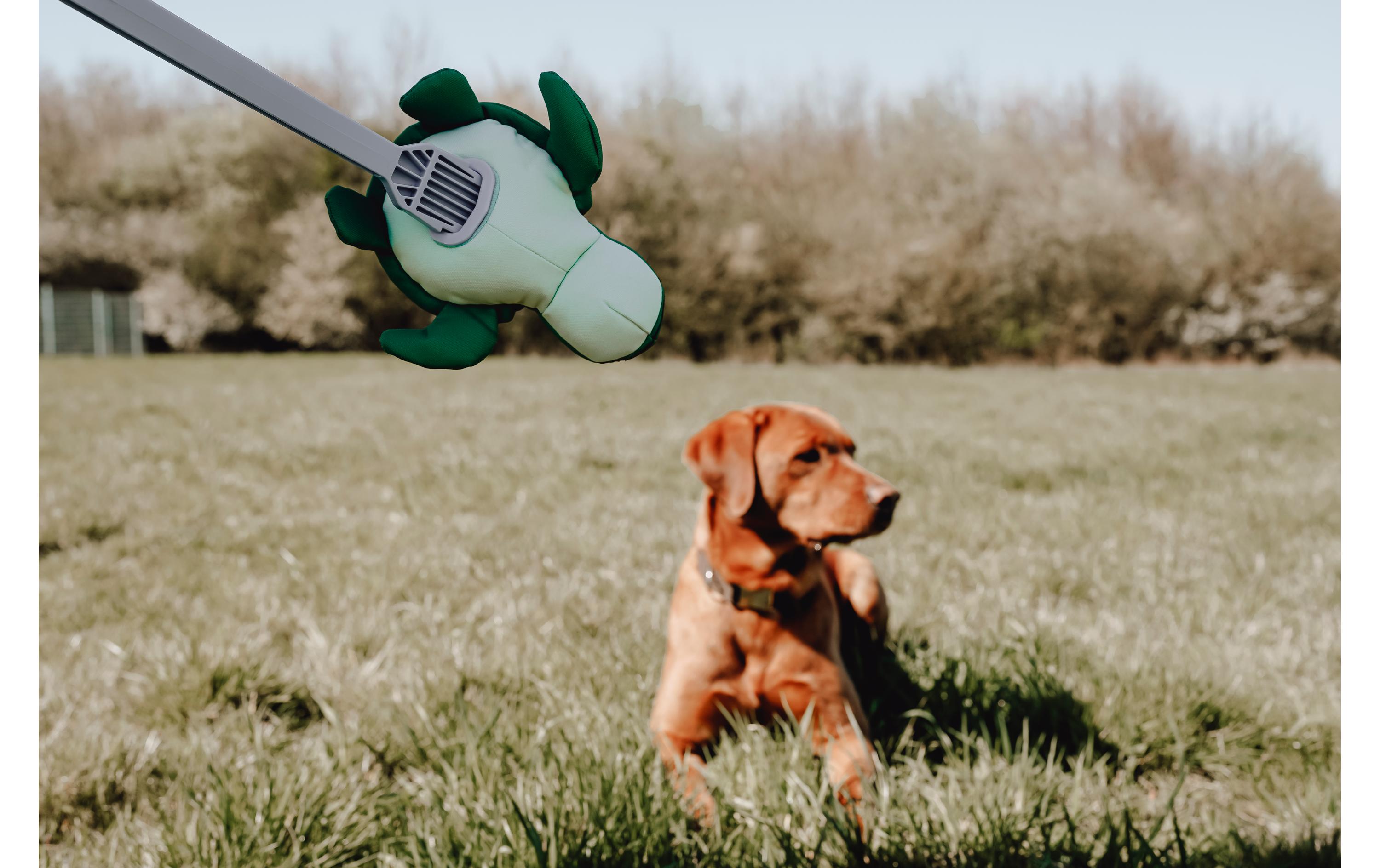 Hunde-Spielzeug Flingerz Splash Schildkröte, Blau/GrünWurf-Hundespielzeug