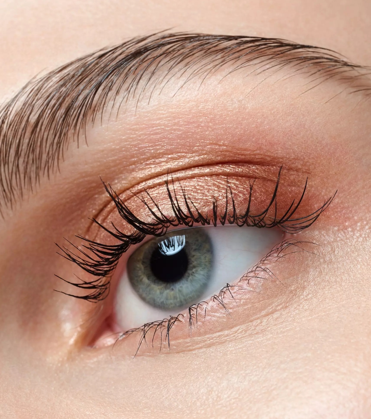Catrice - Sombra Art Couleurs - 440: Bronze Bliss