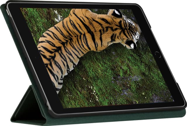 Dbramante1928 iPad 10,2” cover Evergreen