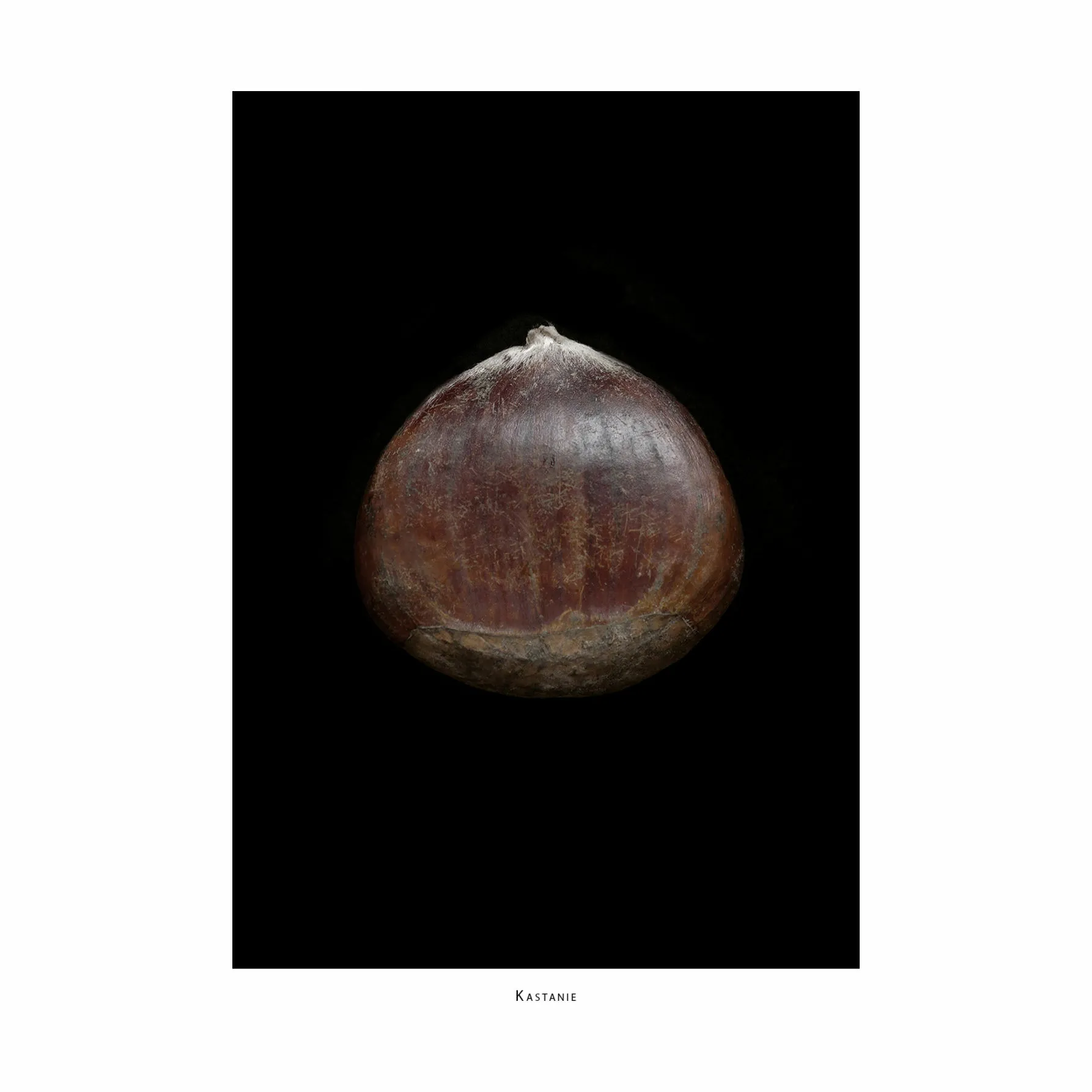 Poster&Frame MAD PLAKAT Plakat Kastanie