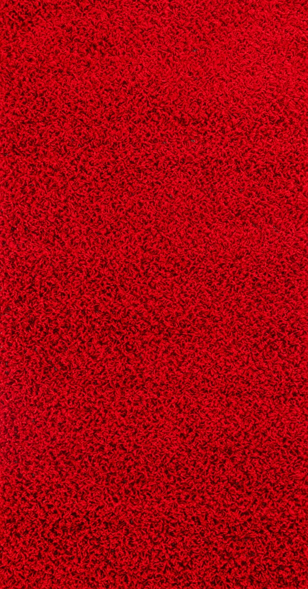 Modern hoogpolig shaggy vloerkleed rood 80x150 cm LILLY