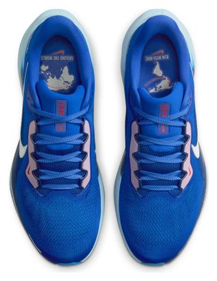 Chaussures Running Nike Pegasus 41 CM Bleu Homme
