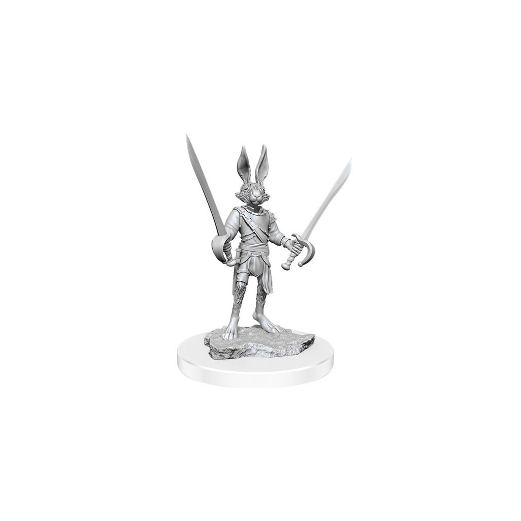 D&D Nolzur's Marvelous Unpainted Miniatures: Harengon Rogues