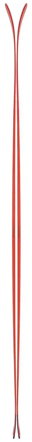 Black Crows Camox Freebird Touring Ski - Alpinski | SkatePro