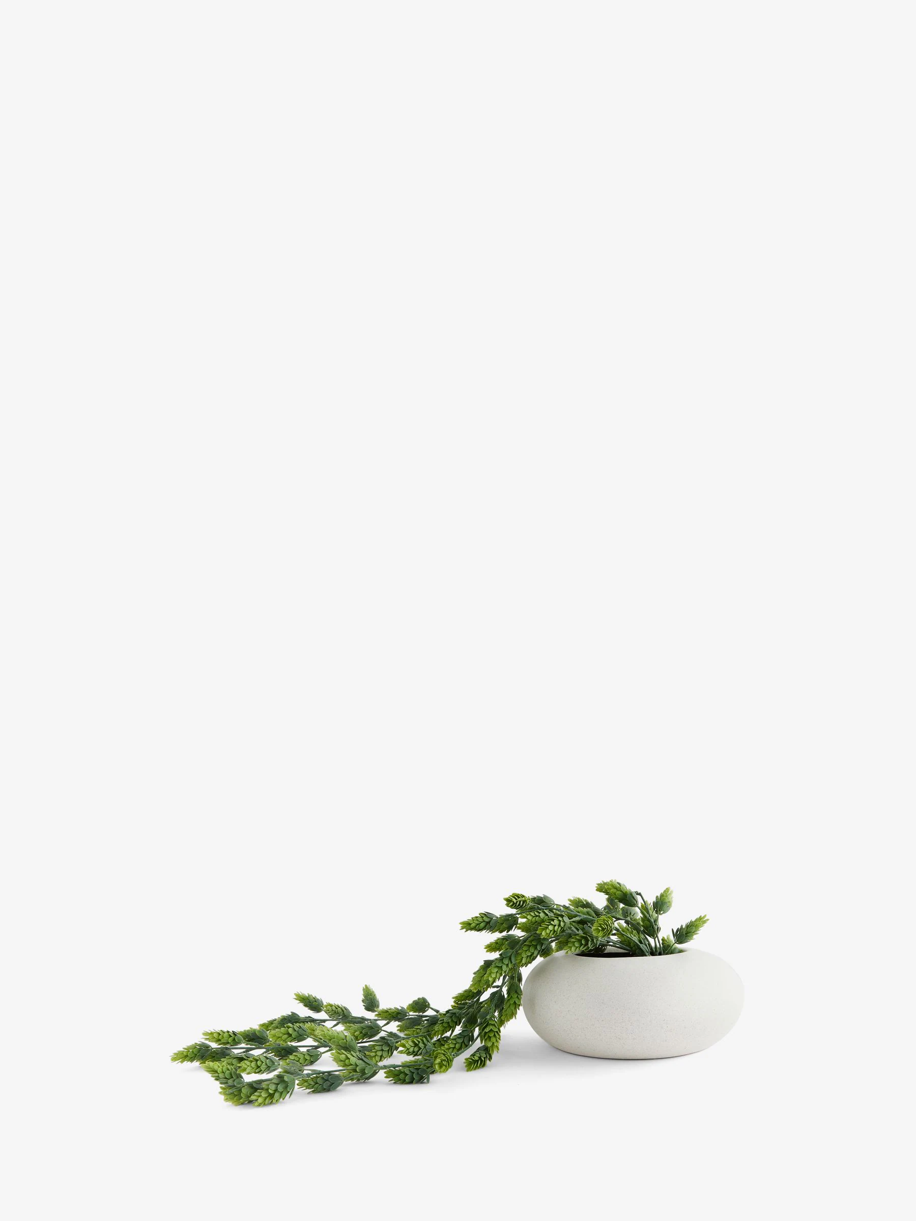 Kunstmatige hangende hop in witte keramische pot