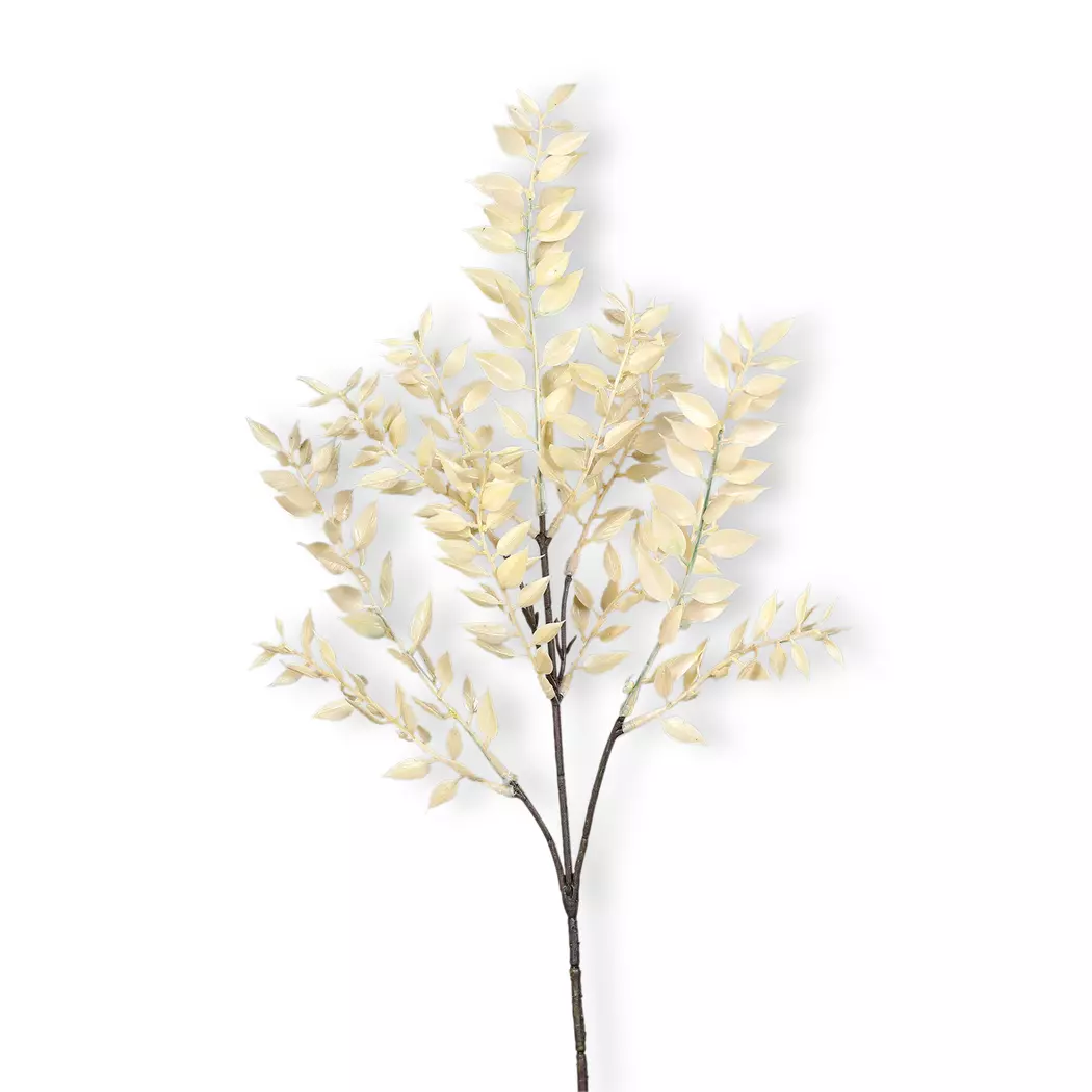 Deko-Zweig Ruscus 47 cm