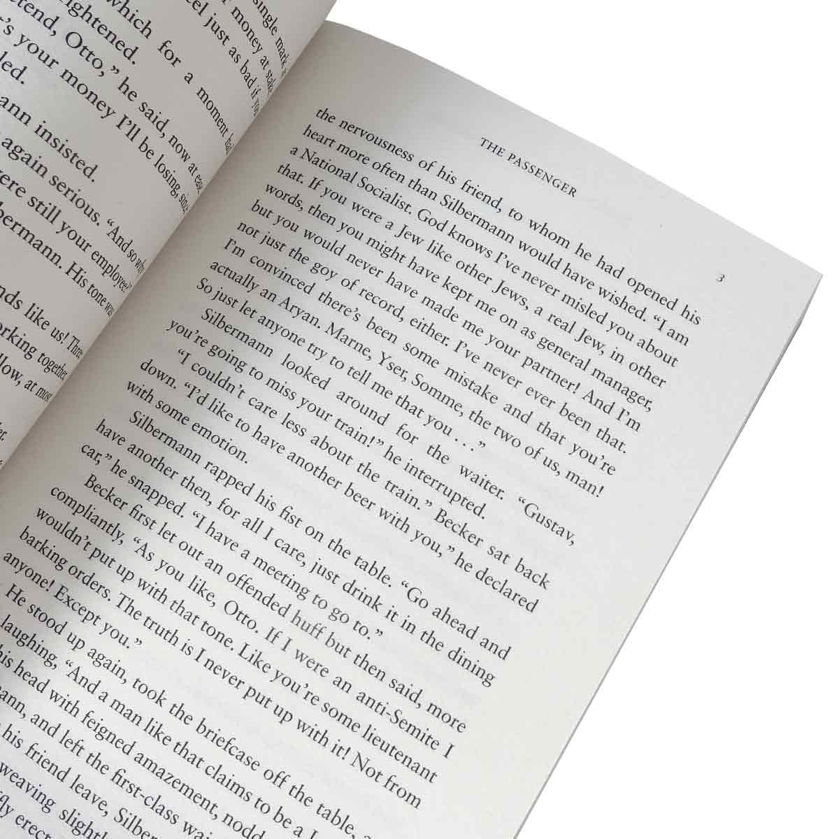 The Passenger (Paperback)