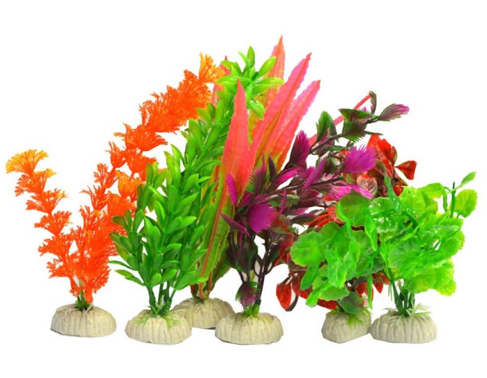 Superfish Aqua plants small
