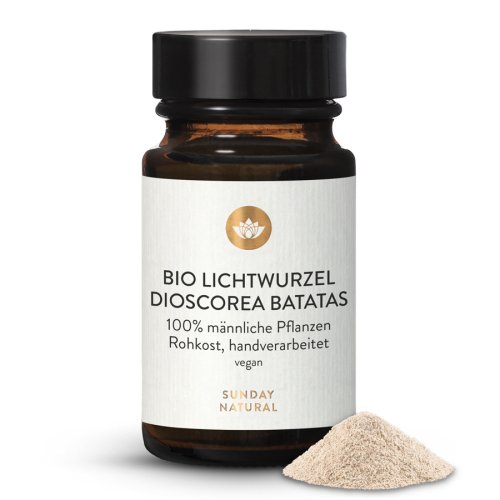 Sunday Natural Products  Lichtwurzel PulverBio