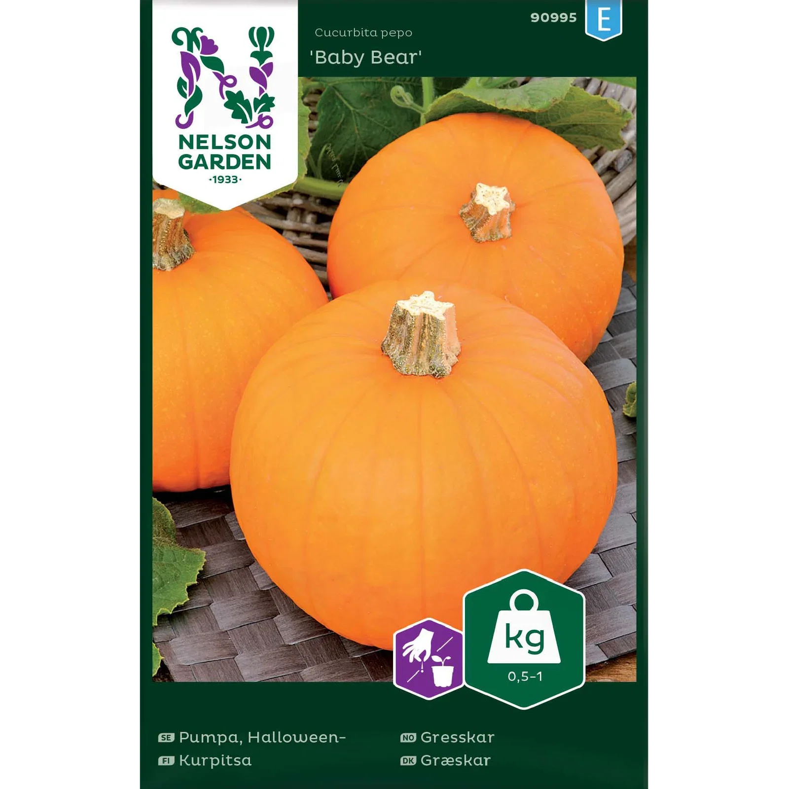 Cucurbita pepo 'Baby Bear' Gresskar 'Baby Bear'
