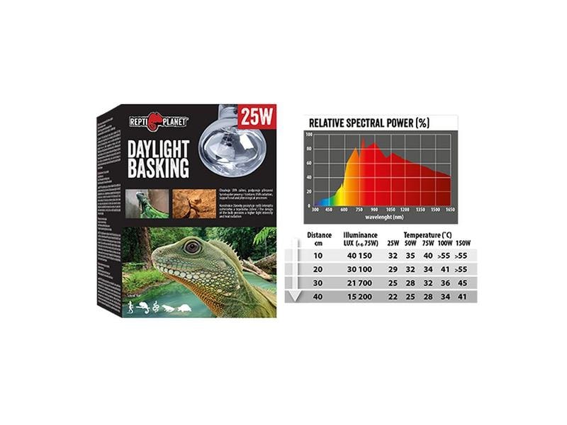 Repti Planet Daylight Basking Spot 100 W Terrarienbeleuchtung