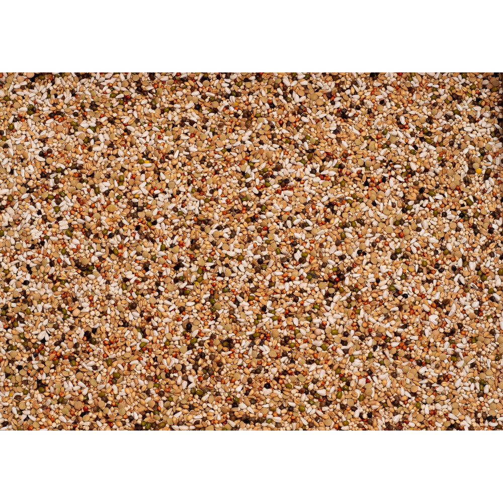 Beyers Premium Wal Zoontjens Geel25 kg