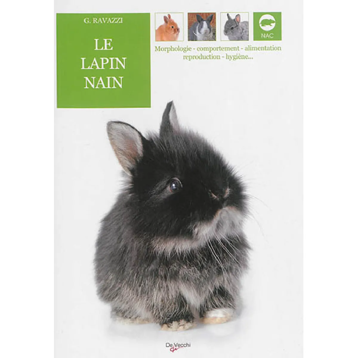 Le lapin nain · Occasion