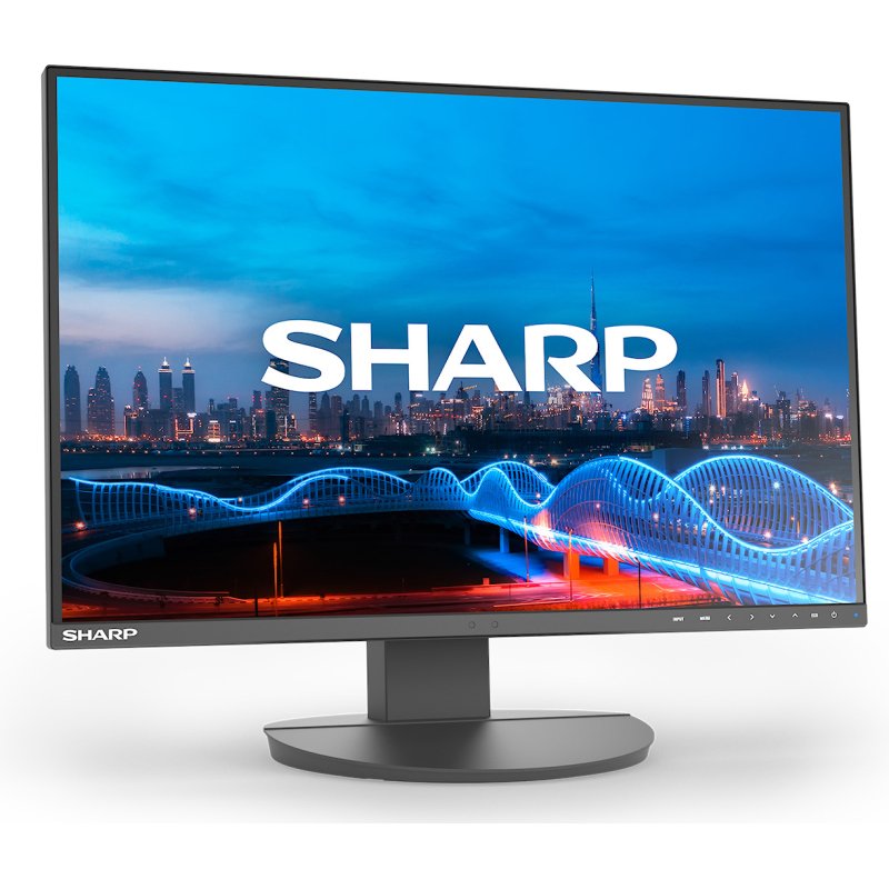 Sharp MultiSync EA241W écran plat de PC 61 cm (24