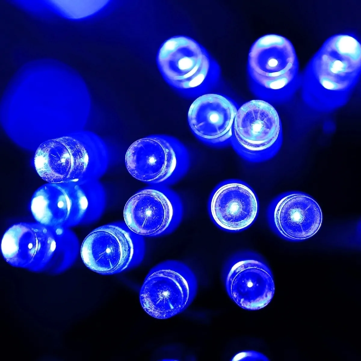 Wewoo Guirlande LED 3m x 2m - 200 LED - Lumière bleue