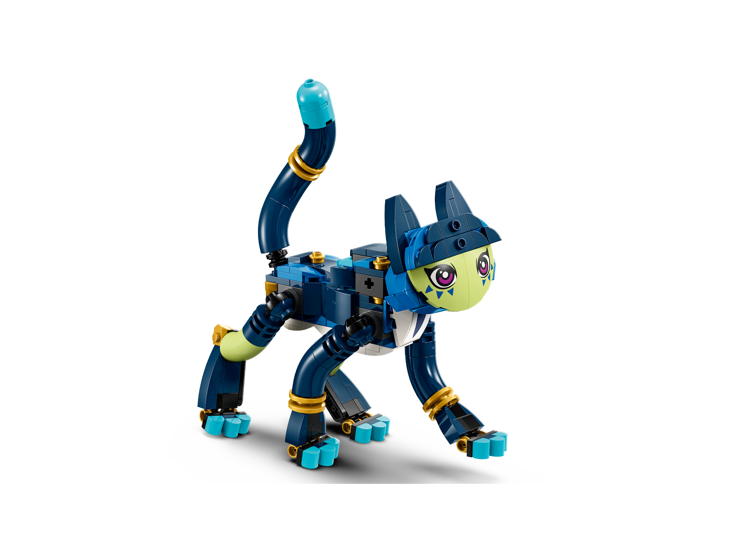 Zoey e Zian, a Gata Coruja 71476