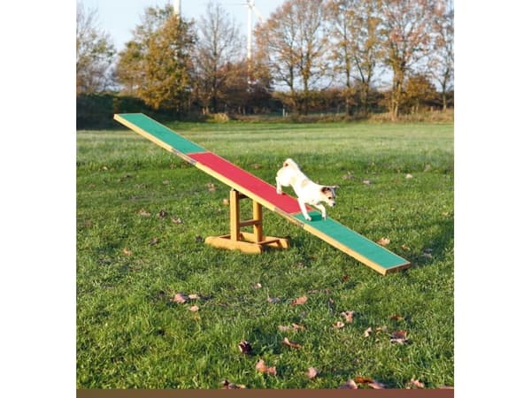 Trixie Agility rocker